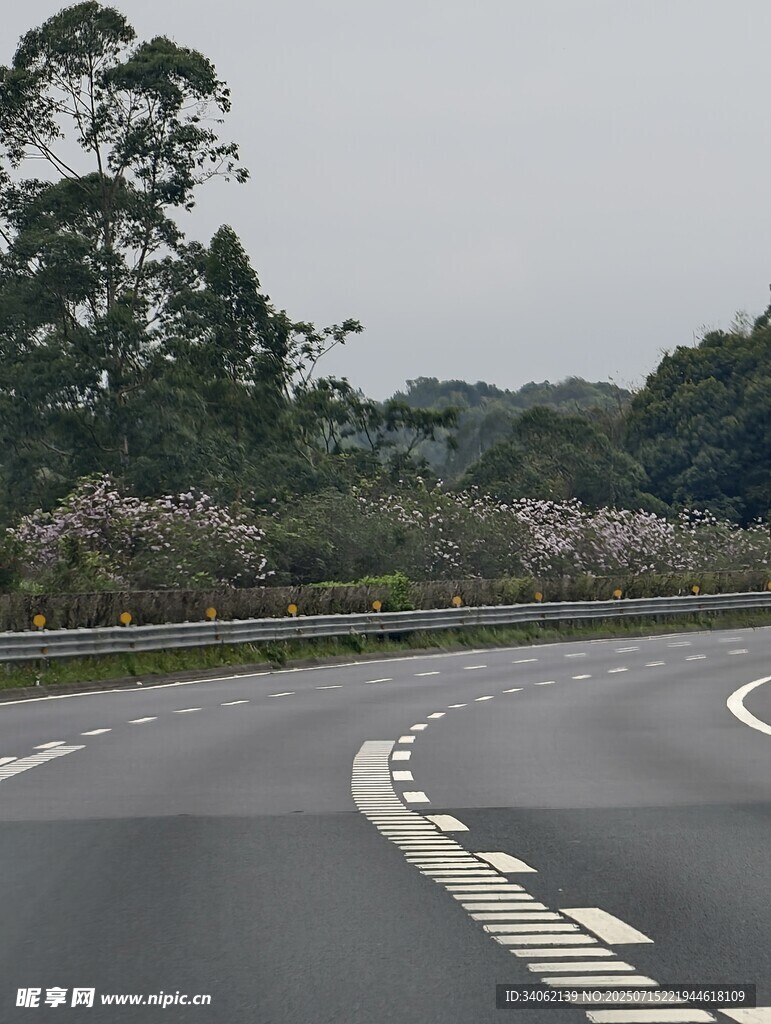 蜿蜒公路旁的葱郁景致
