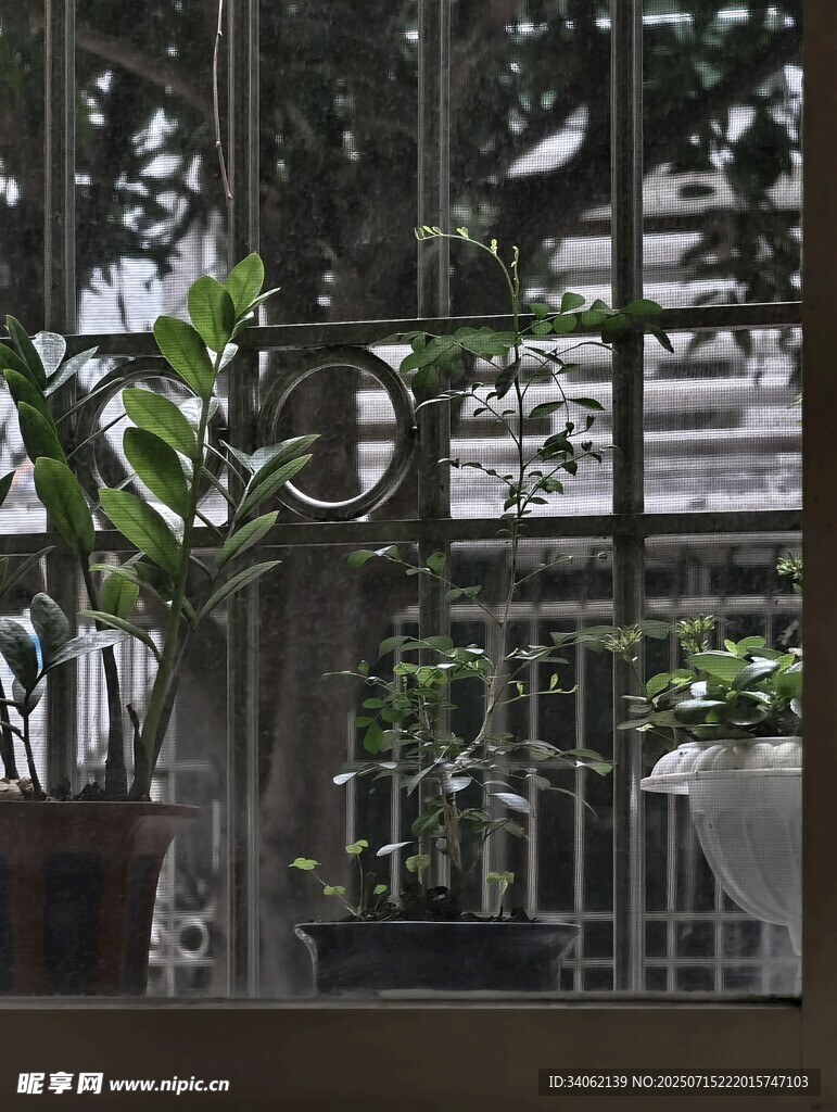 室内绿植景观