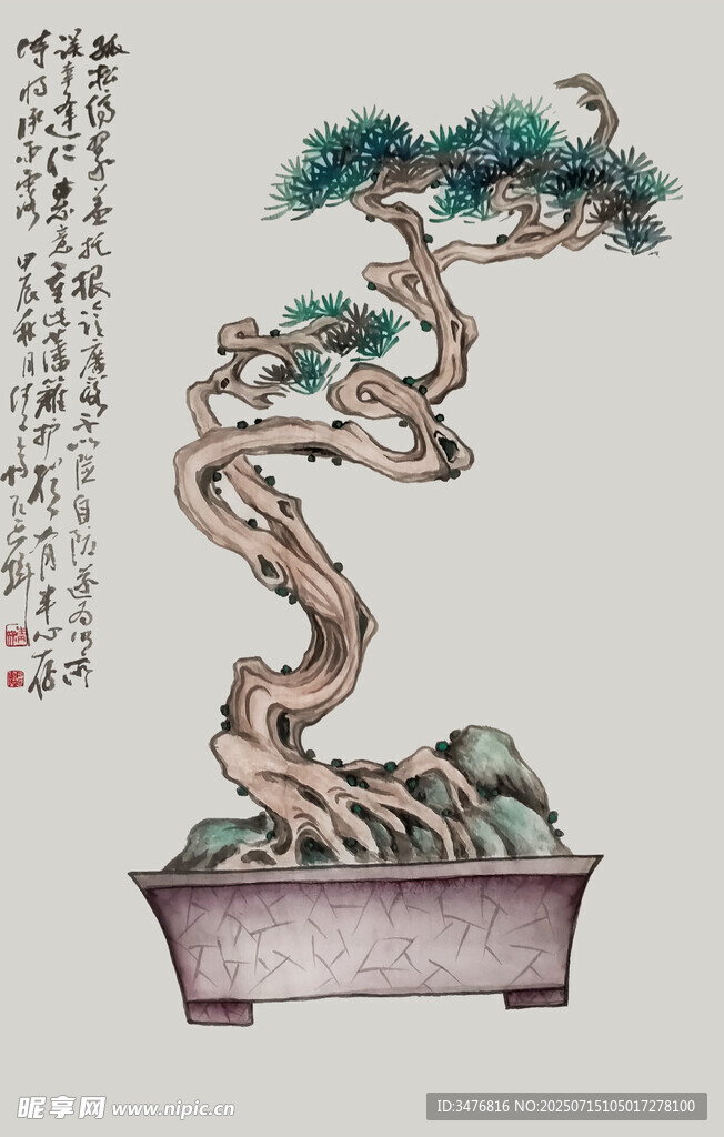 中式盆景 苍劲古朴之姿