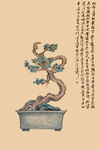中式盆景艺术之美