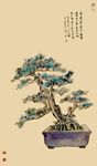 中式盆景艺术之美