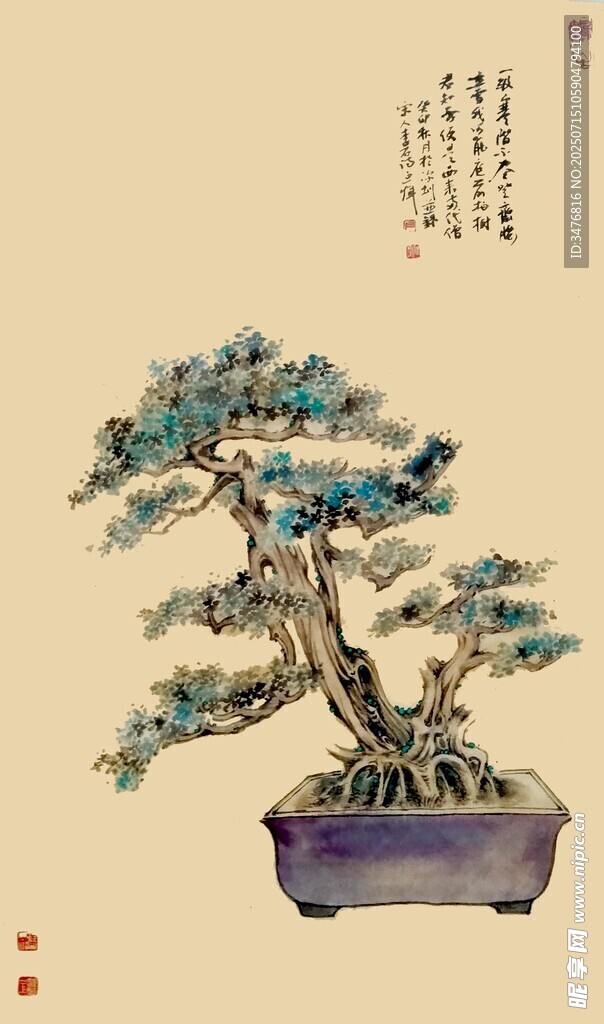 中式盆景艺术之美
