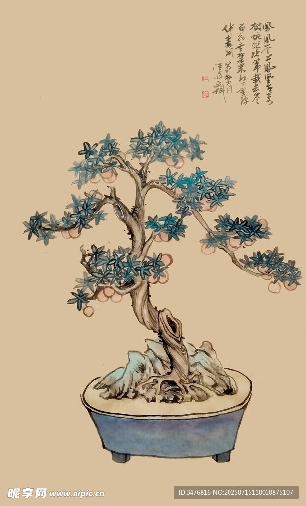 中式盆景 雅致古韵风姿