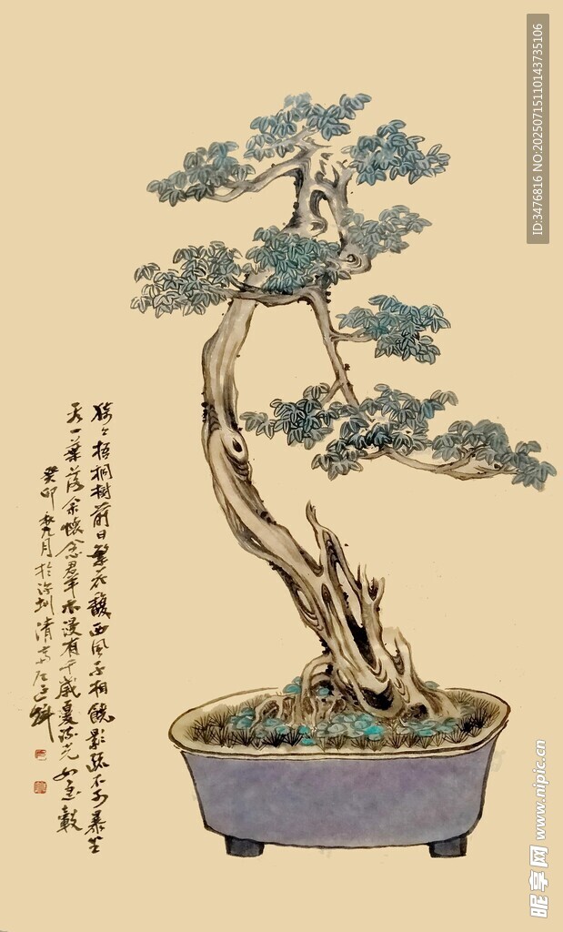 中式盆景艺术之优雅风姿
