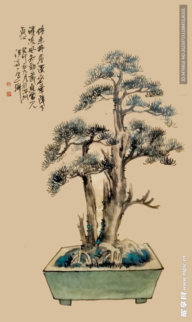 中式盆景艺术之美