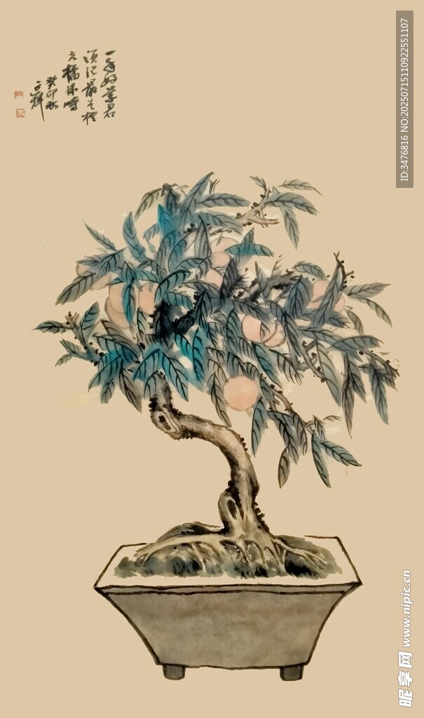 中式盆景 雅致古韵风姿