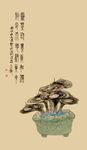 中式盆景摆件 古韵雅致