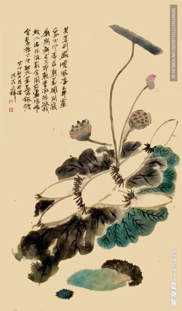 水墨荷花图