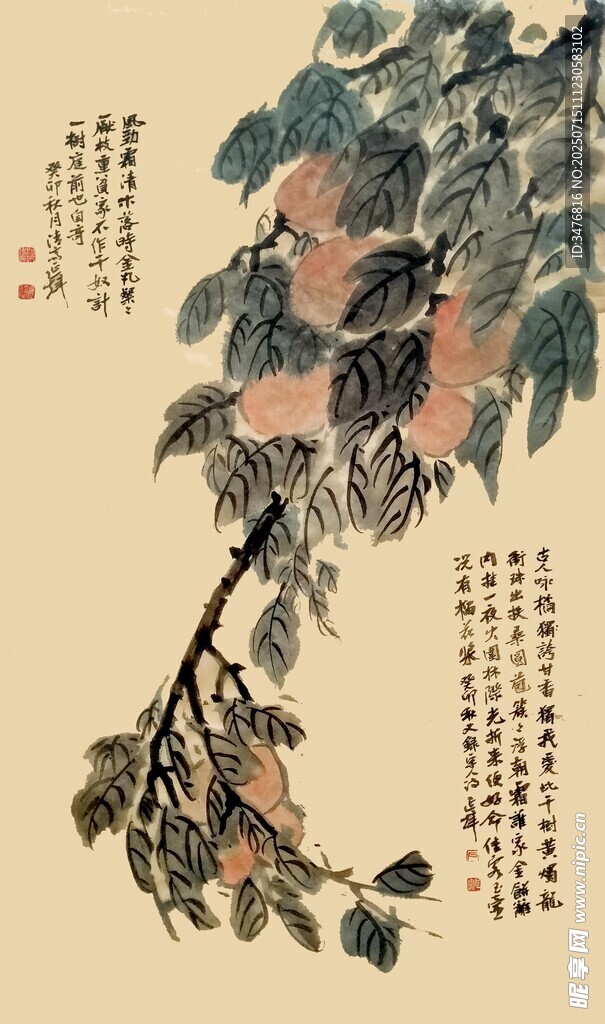 中式水墨风枝头花卉图