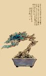 精致盆景 展现自然之美