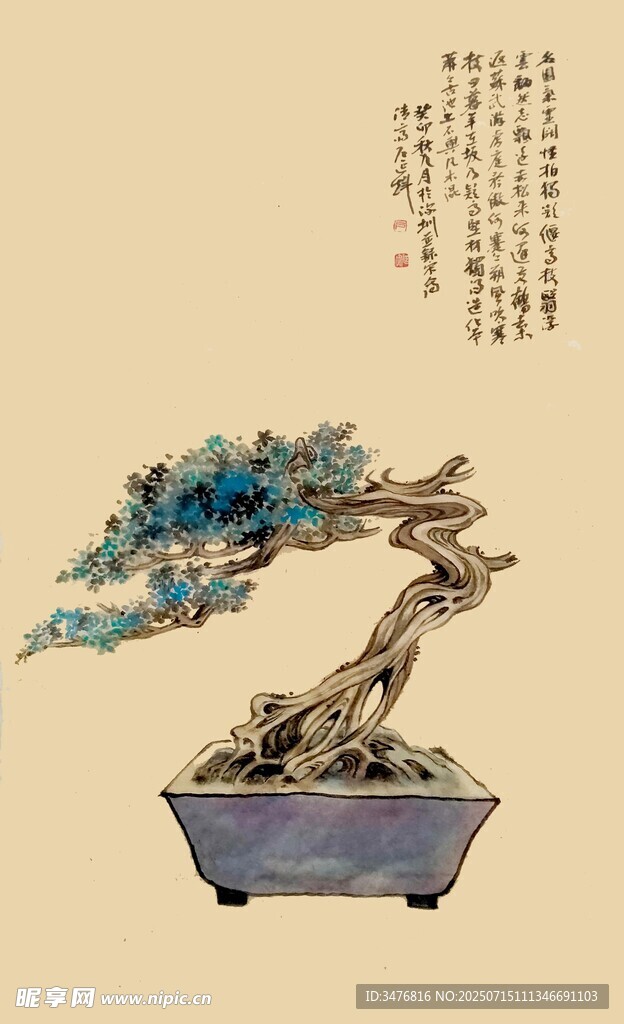 精致盆景 展现自然之美