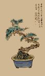 中式盆景艺术之美