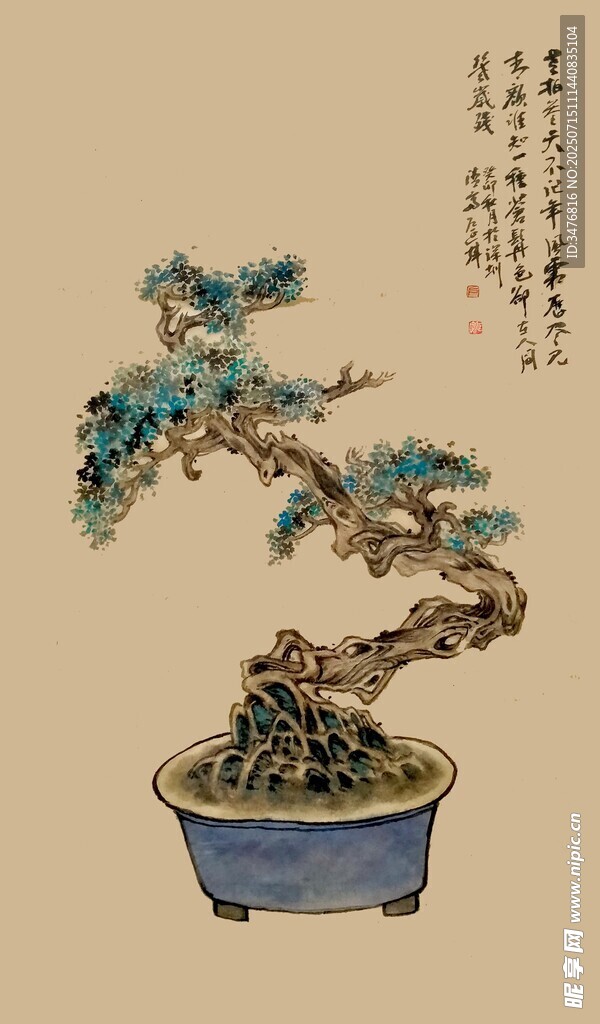中式盆景艺术之美