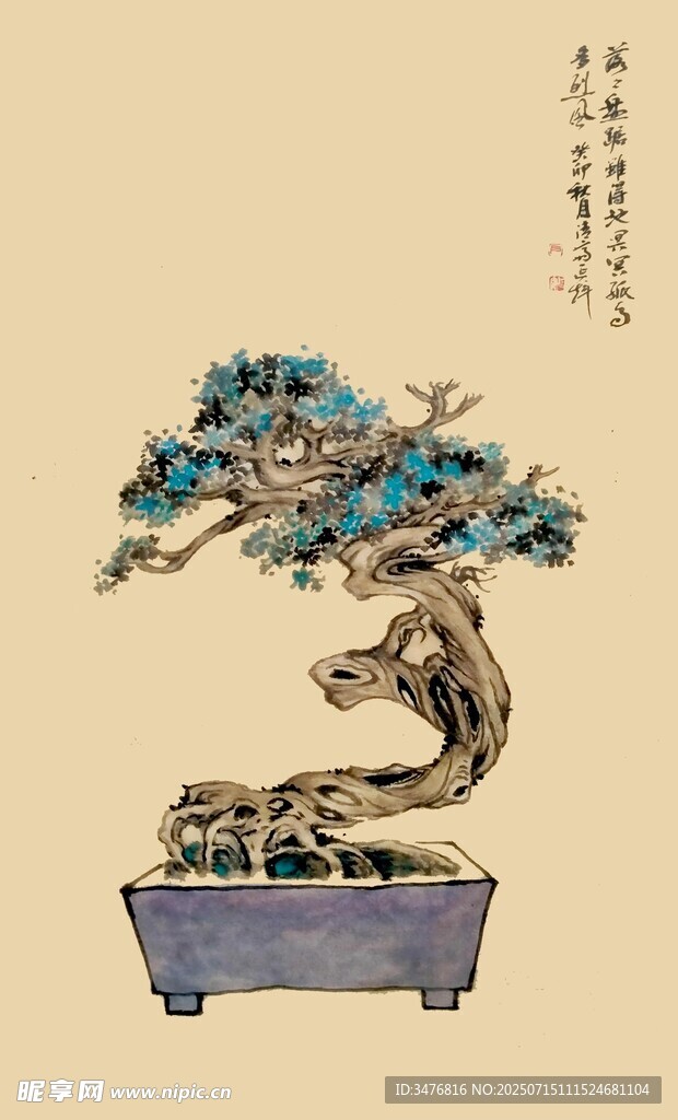 中式盆景艺术 苍松遒劲