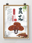 灵芝