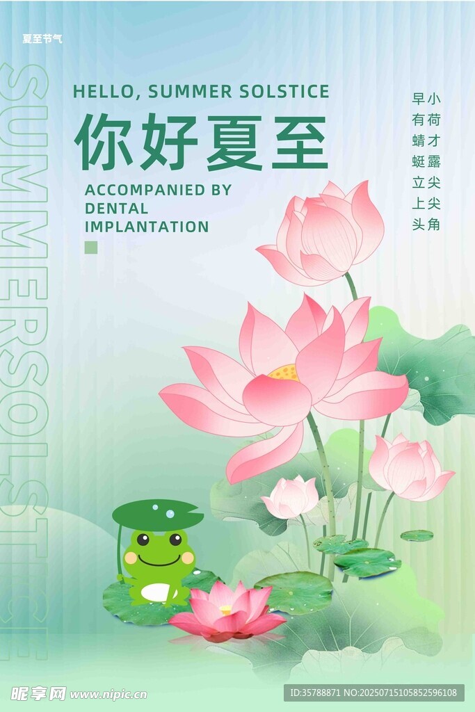 夏至荷花图