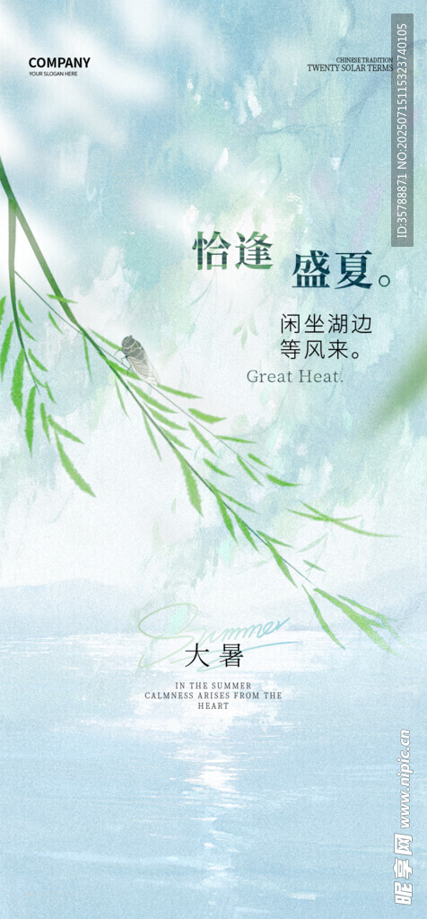 清新柳枝垂于水面之景