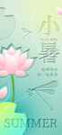 小暑时节荷花绽放