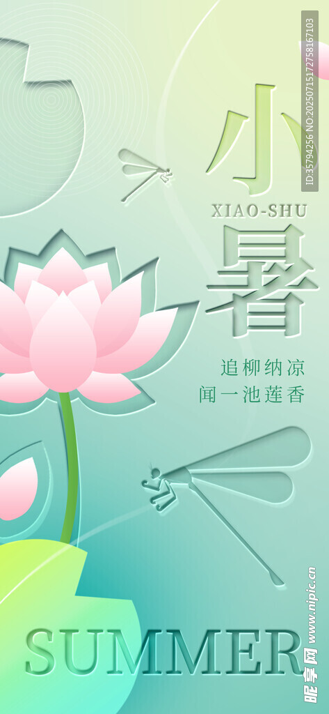 小暑时节荷花绽放