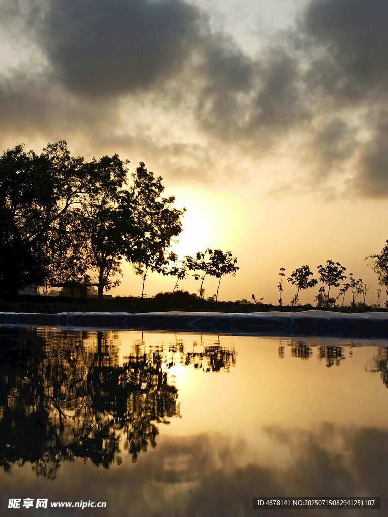 夕阳下的树影倒映在湖面
