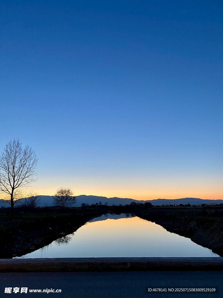 黄昏湖畔孤树倒影美景