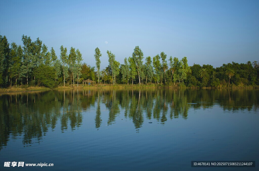 宁静湖畔绿树倒影美景