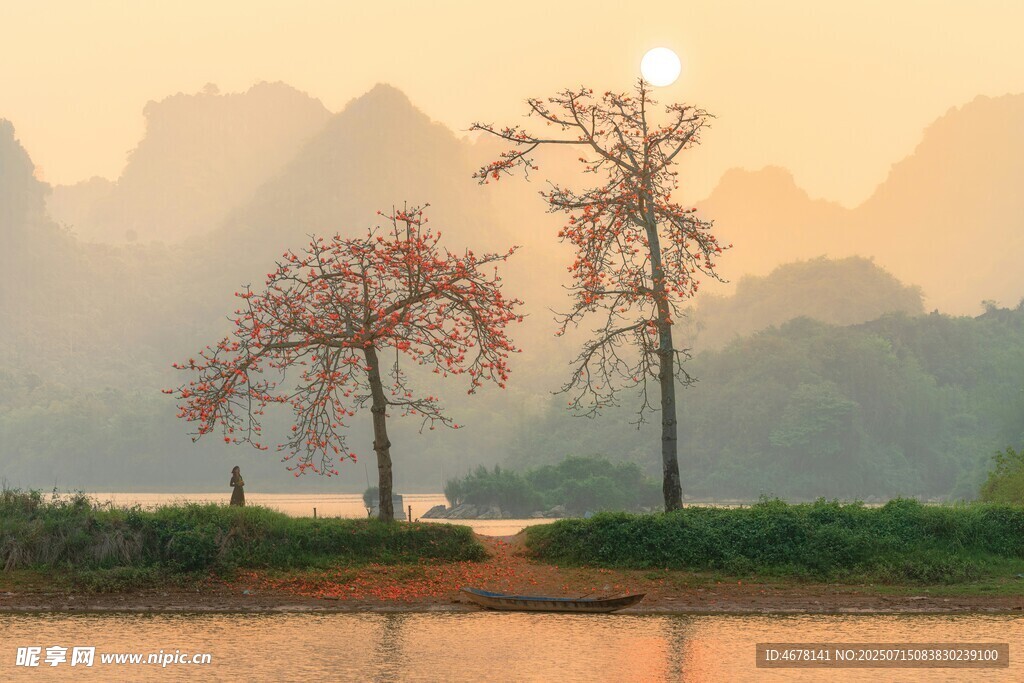 日出江畔双树美景