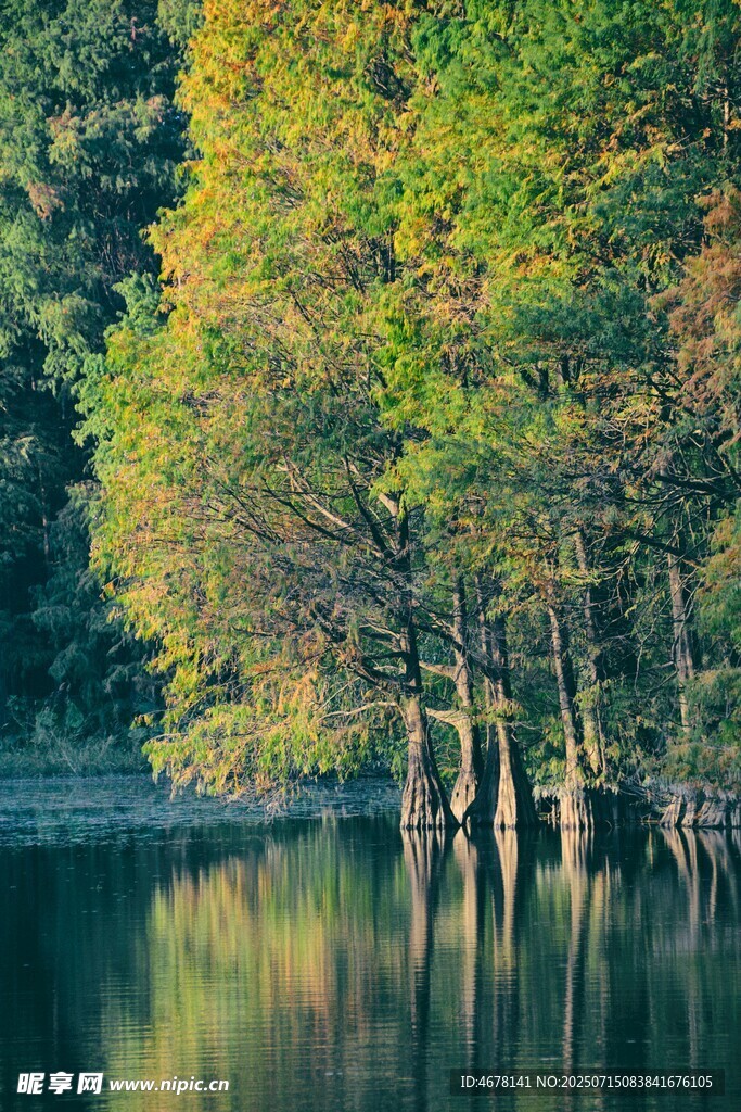 湖畔彩林倒影美景