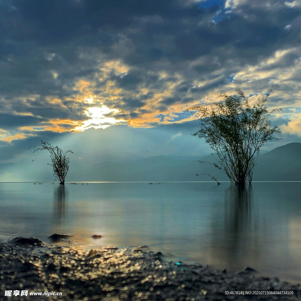 夕阳下的静谧水域与孤树