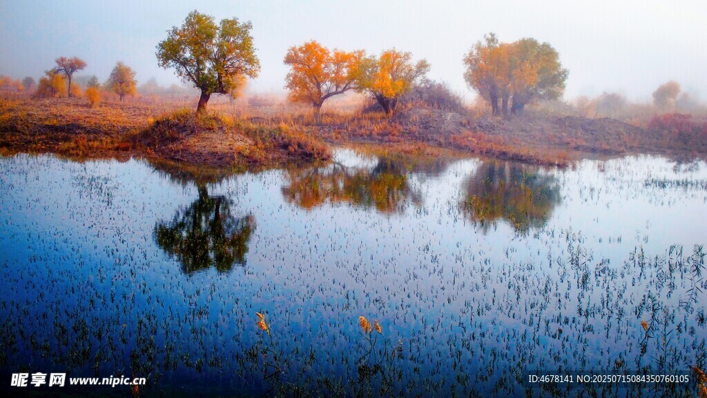 秋日湖畔美景