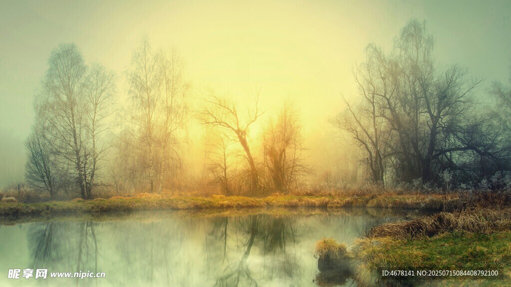 湖畔晨光中的静谧自然景