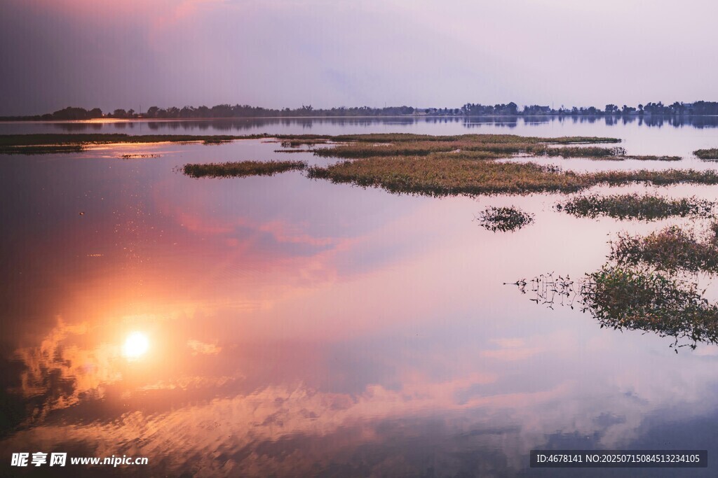 夕阳下的湿地美景