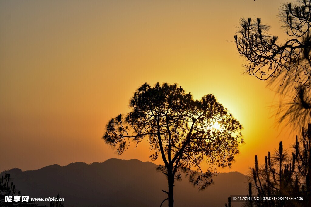 夕阳下的孤树与远山