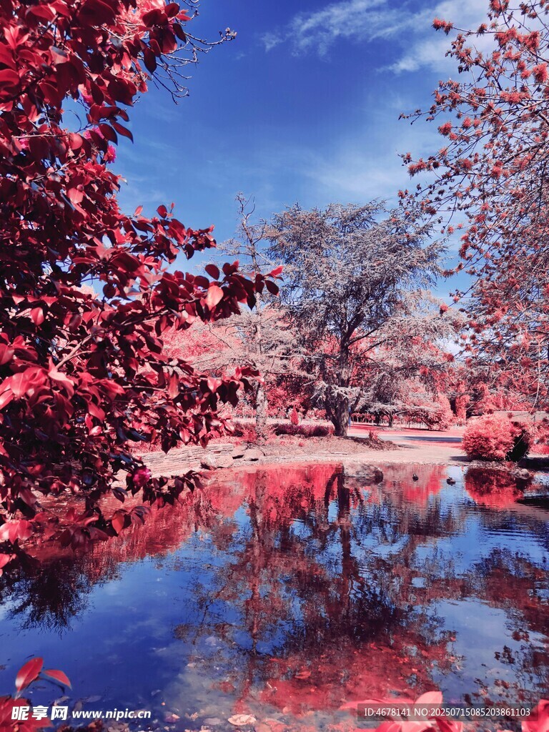 湖畔红叶美景倒映水中