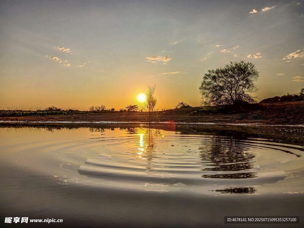 夕阳下静谧湖面与孤树