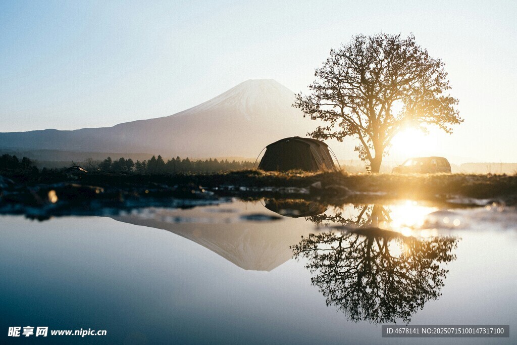 湖畔孤树映朝阳美景