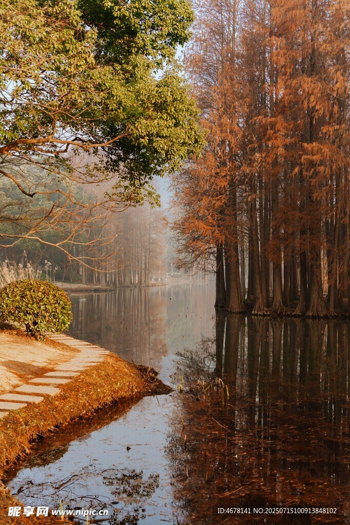秋日湖畔树林美景