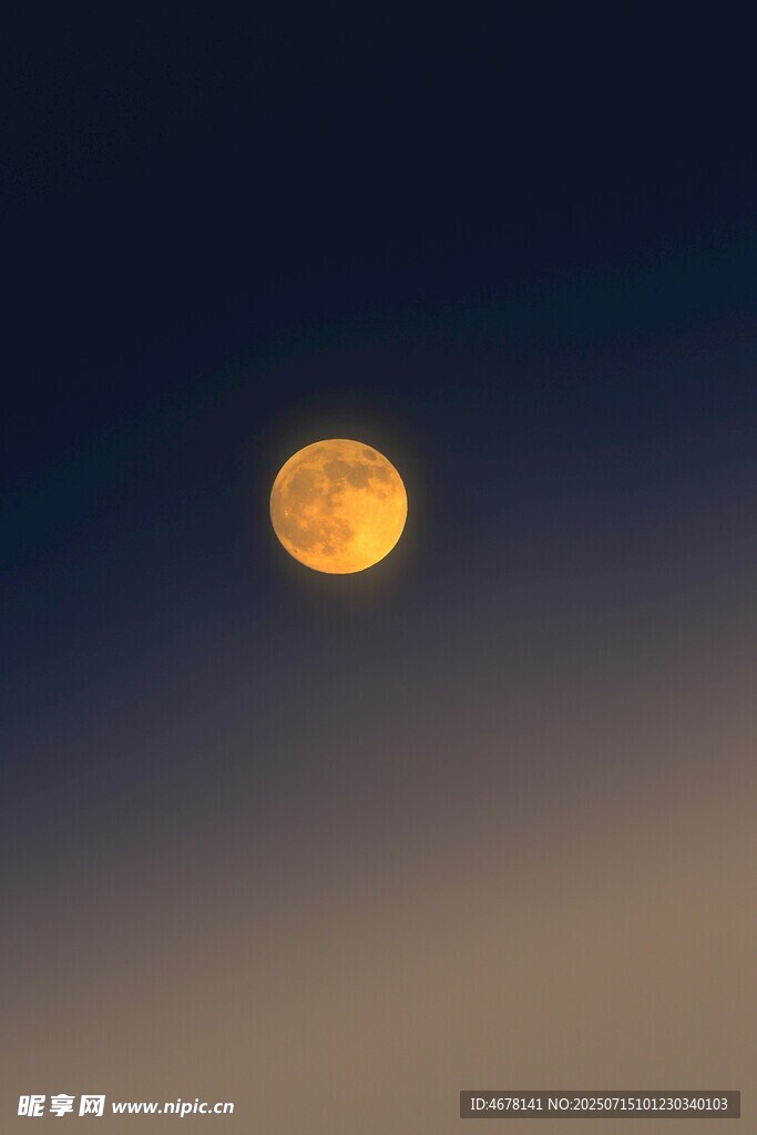 夜空中的金黄圆月