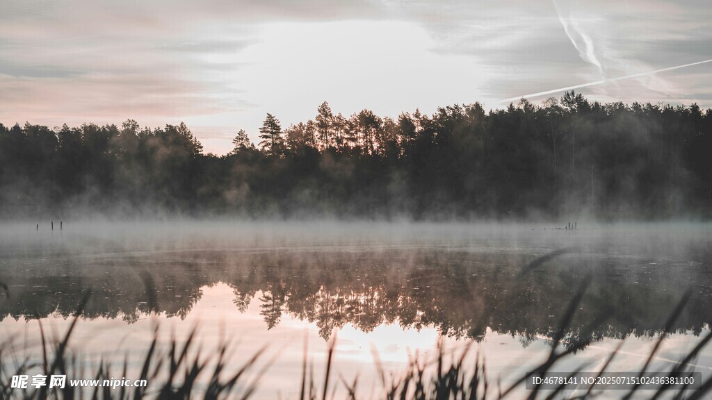 湖畔晨雾中的静谧自然景