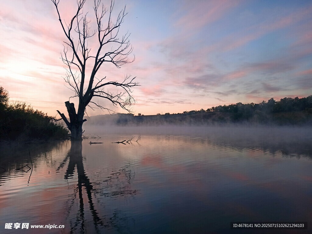 湖畔枯树映霞光美景