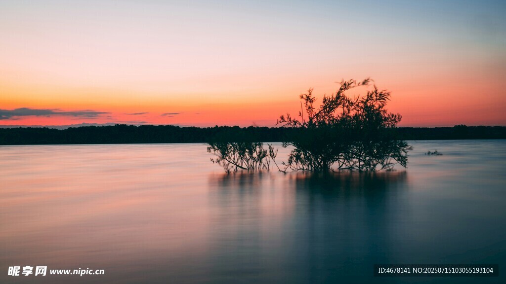 湖畔落日孤树美景