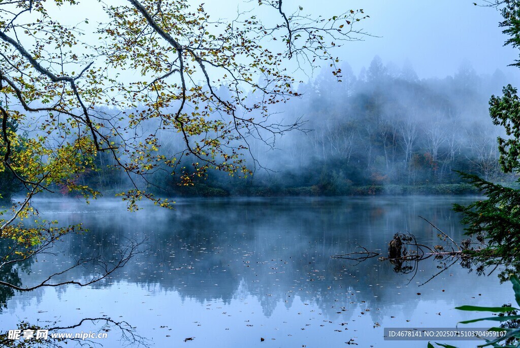 湖畔晨雾中的静谧自然景