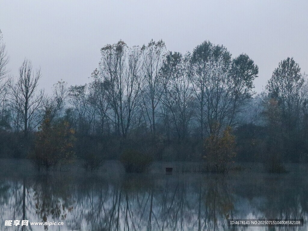 湖畔枯树倒影静谧景象