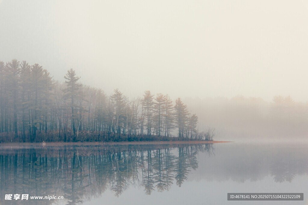 雾中湖畔静谧森林美景