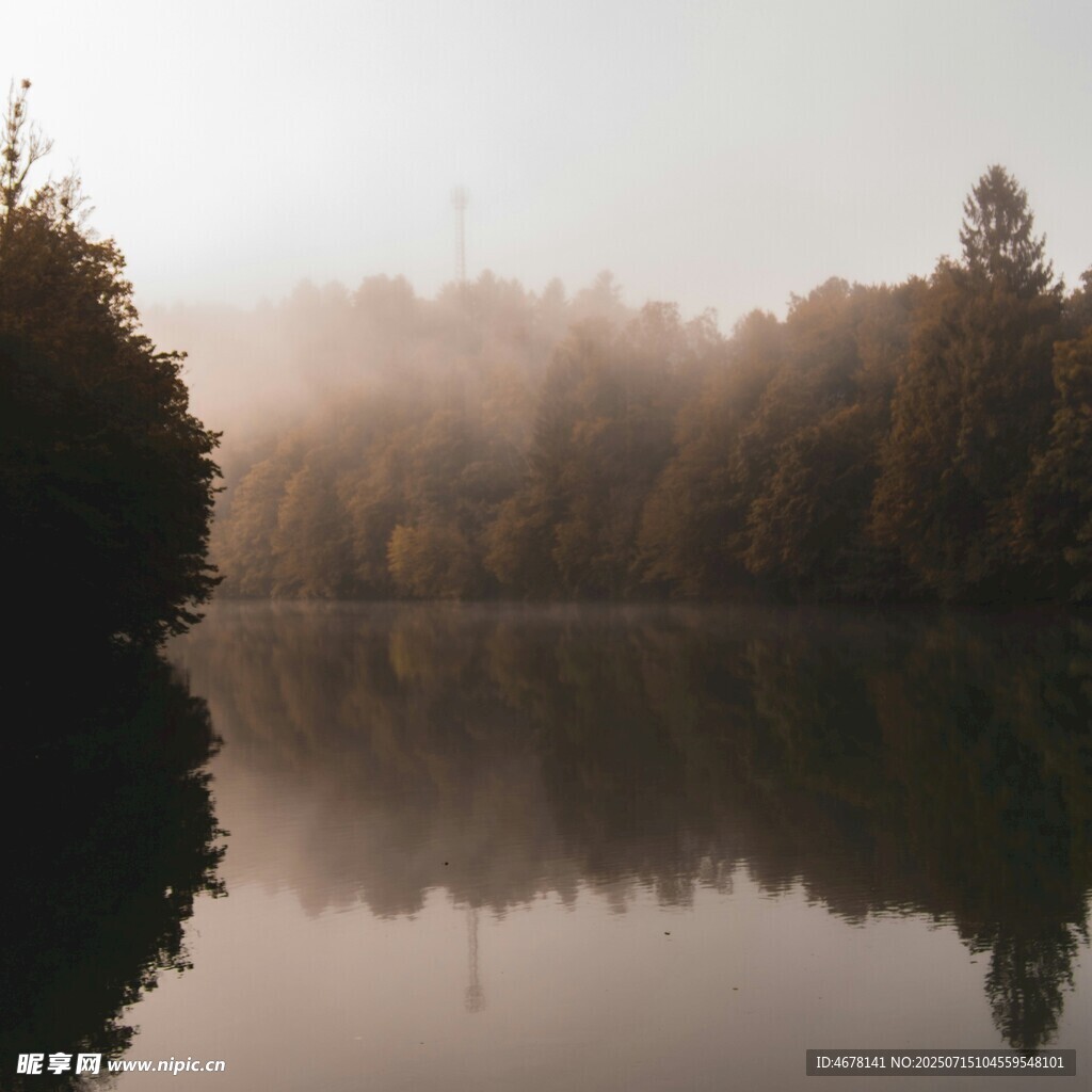 雾中湖畔森林静谧美景
