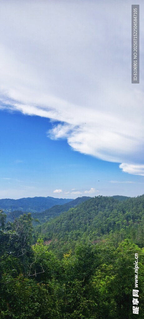 云与山林