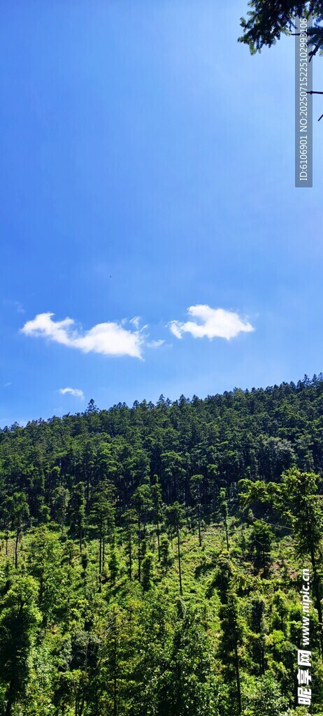 山间白云