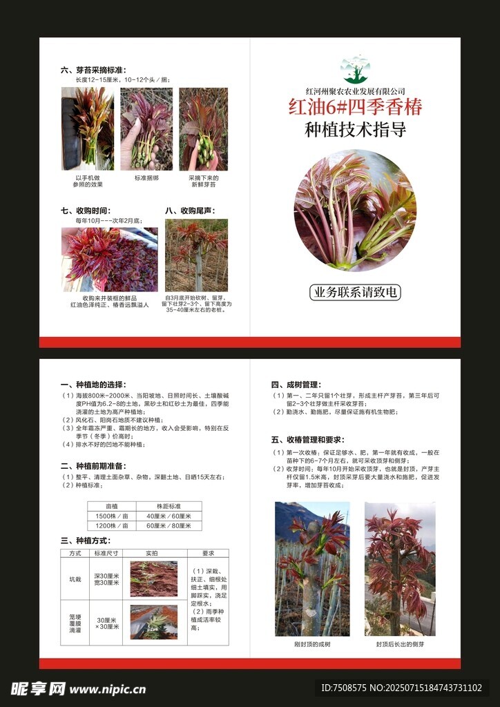 城市旅游宣传折页