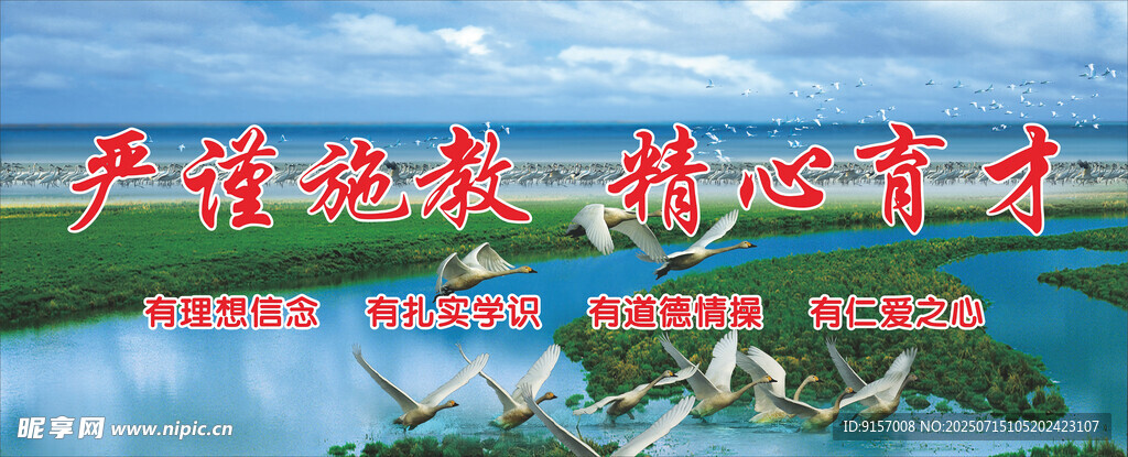 教育背景