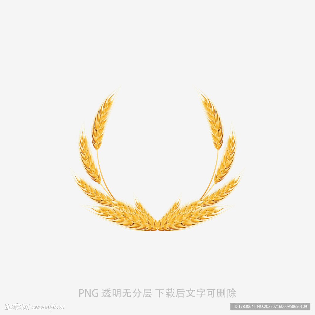 金色麦穗花环图案设计